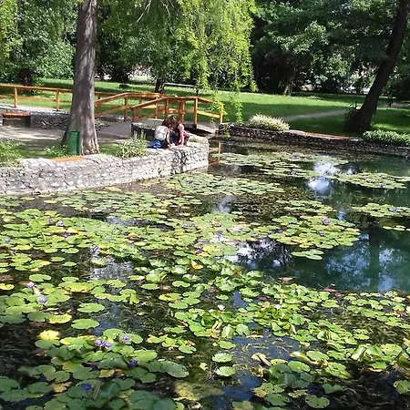 Margareta Vendeghaz * Мишкольц