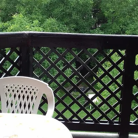 Margareta Vendeghaz *