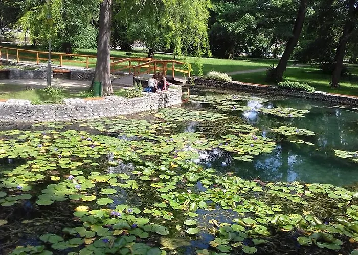 Margareta Vendeghaz * Мишкольц